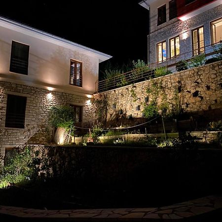 Arktos Hotel Ioánnina Exteriér fotografie